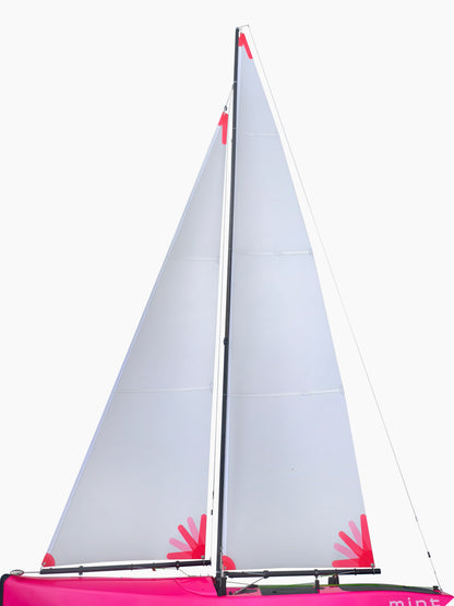 Mint IOM - Pearl Pink