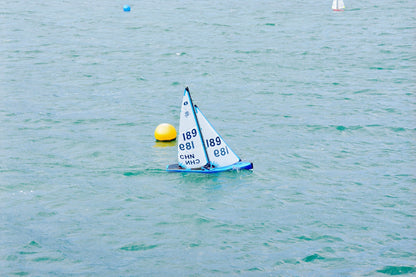 Mint IOM - Pearl Blue